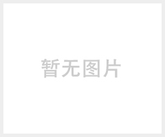 垂直输送设备郑矿机器TH斗式提升机
